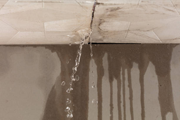 Professional Structural Drying technician working in Enterprise, UT
